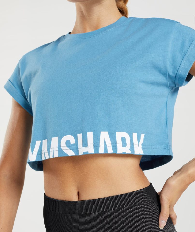 Przycięte Topy Gymshark Fraction Damskie Niebieskie | PL 174LUE